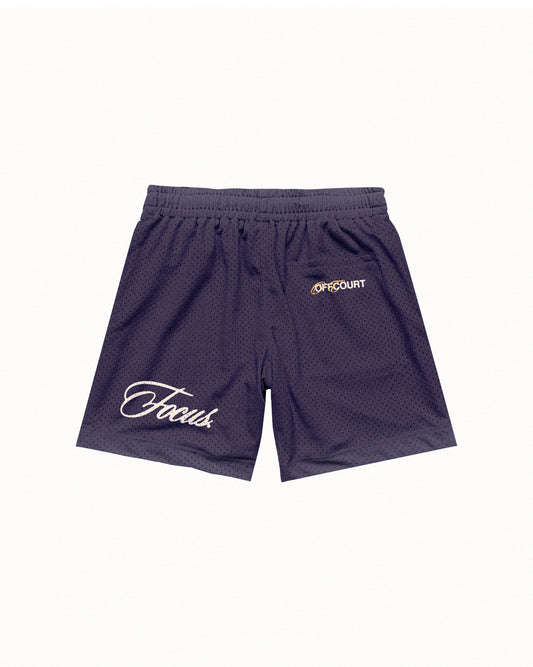 "Focus 248" Vintage Fade Purple Mesh Shorts