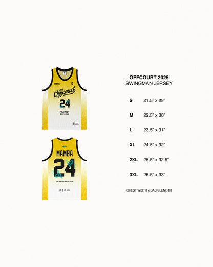 "CHBL" Premium Swingman Mesh Jersey